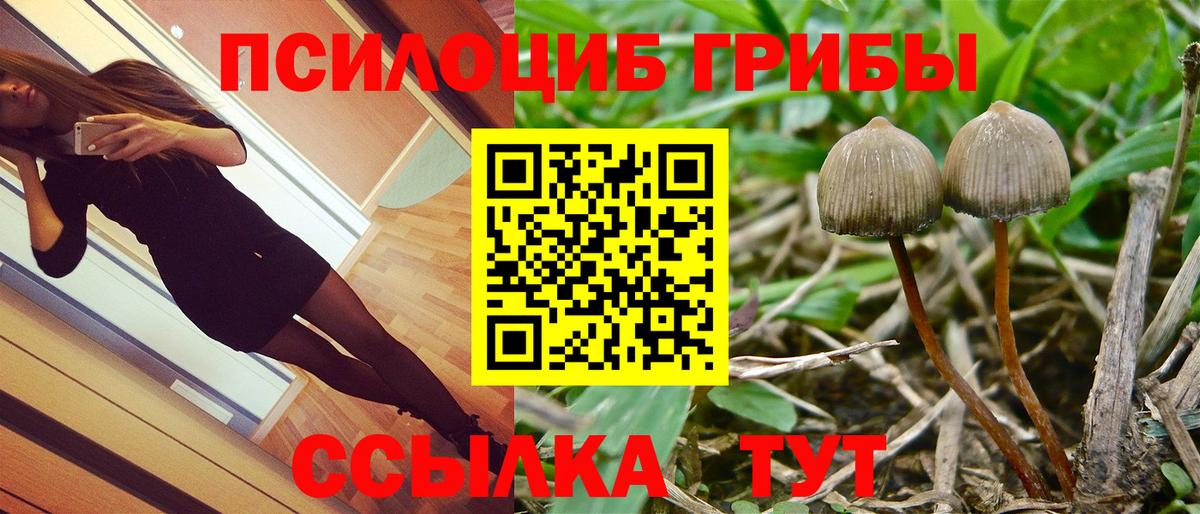 Псилоцибиновые грибы MAGIC MUSHROOMS Сочи